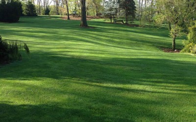 When Should You Aerate Your Pennsylvania Grass?