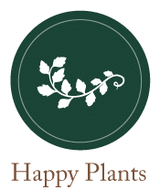 Happy Plants - Services