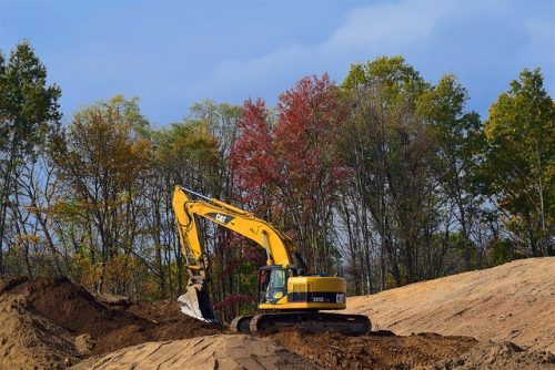 Tree Preservation Tips During Construction