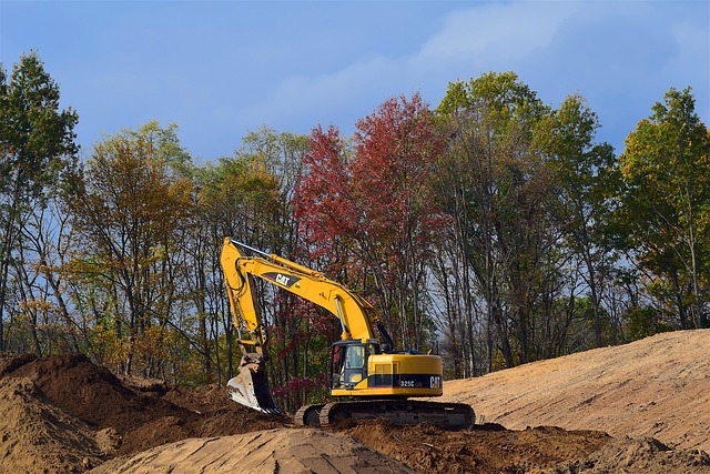 Tree Preservation Tips During Construction