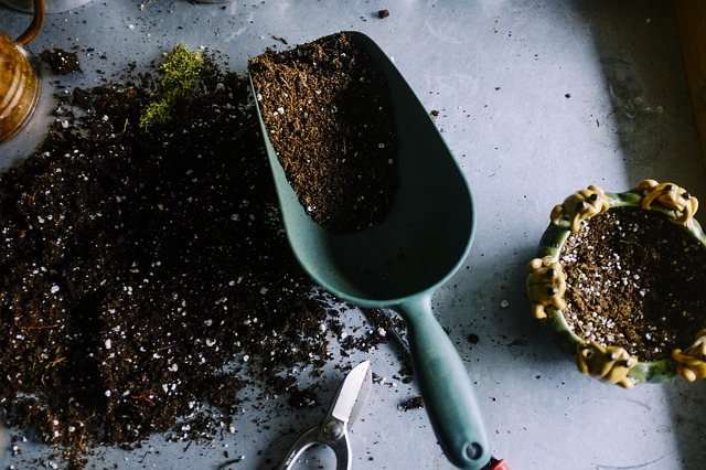 Soil Management: The Basics