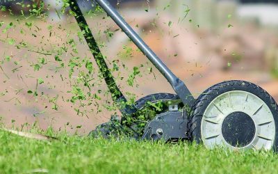 Our Best Mowing Tips