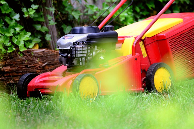 Quick Facts about Lawn Care