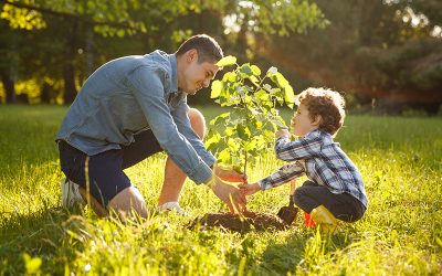 Better Soil = Better Plants